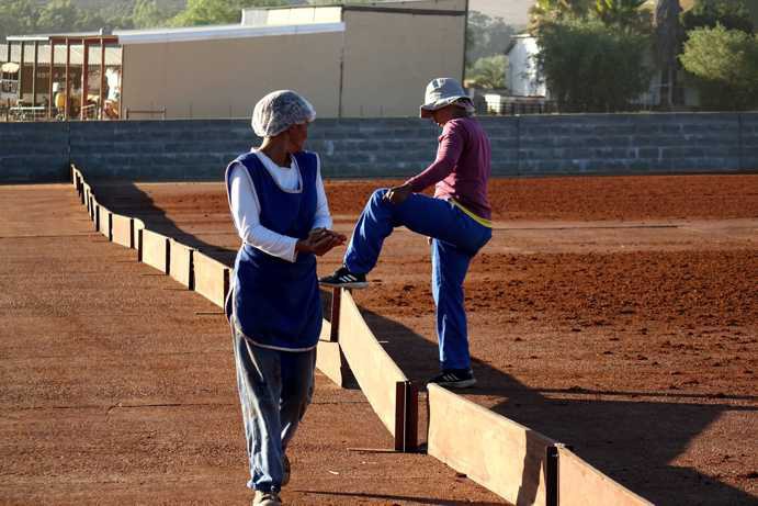 Zwei Arbeiterinnen stehen auf dem Tea Court neben einer Bohlentrennwand, die sie gemeinsam mit anderen aufgebaut haben. Diese Wand trennt den Trocknungsbereich von dem Randbereich des Tea Courts, wo der frisch geschnittene Rooibos in einer angehäufelten Reihe abgeladen wird. Gegen 15:00 Uhr, nachdem der getrocknete Rooibos mit einer speziellen Kehrmaschine aufgelesen wurde, wird die Bohlenwand wieder abgebaut.