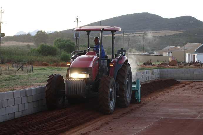 Ein Traktor fährt auf dem Tea Court und führt den Prozess des Pressens und Belüftens des fermentierten Rooibos durch. Vor dem Traktor liegt der Rooibos gepresst, während er hinter dem Fahrzeug erneut in einer angehäufelten Reihe abgelegt wird.