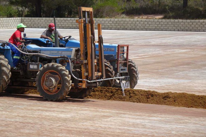 Ein Traktor mit vorn montierten Wasserauslässen bewässert auf der Skimmelberg-Farm den auf dem Tea Court in Reihen ausgebrachten Rooibos-Silageschnitt.