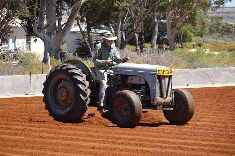 Dr. Hans van Westhuizen auf einem Traktor, der Rooibosstreifen auf dem Tea Court der Klipfontein Farm verschiebt.