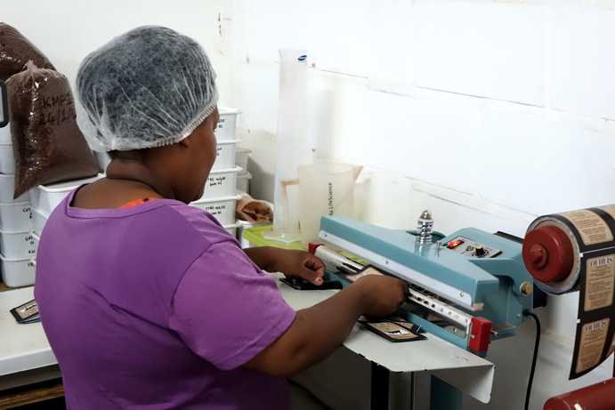 The image shows a worker on the Ouhuis farm preparing individual sample packages of Rooibos tea. To her right, there is a large roll of printed packaging material. She continuously cuts paper strips from the roll, folds them in half, places a tea bag inside, and then seals the three open sides with a press. These individually packaged tea bags are used as samples for different Ouhuis Rooibos tea varieties. Purchasing these samples supports the worker and helps to maintain jobs on the farm.